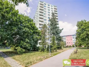 Pronájem bytu 1+kk, Praha, Jahodová, 25 m2