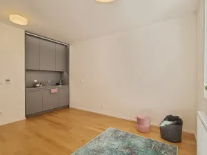 Pronájem bytu 1+kk, Brno, Mlýnská, 24 m2