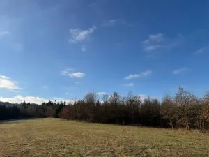Prodej lesa, Poleň, 7982 m2