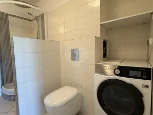 Pronájem bytu 2+kk, Praha - Dejvice, Paťanka, 43 m2