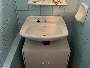 Prodej - jiné, Olšany, 40 m2