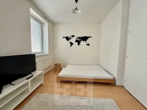 Pronájem bytu 2+kk, Brno, Cejl, 50 m2