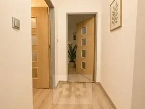Pronájem bytu 1+1, Prostějov, Knihařská, 38 m2