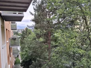 Pronájem bytu 2+1, Brno - Černá Pole, náměstí SNP, 55 m2
