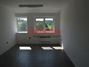 Pronájem výrobních prostor, Neurazy, 273 m2