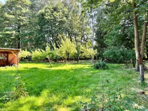 Prodej pozemku pro bydlení, Jindřichovice pod Smrkem, 3377 m2