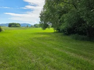 Prodej pozemku pro bydlení, Janovice, 1788 m2