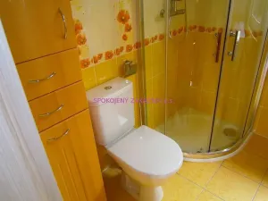 Pronájem bytu 1+kk, Česká Lípa, 40 m2