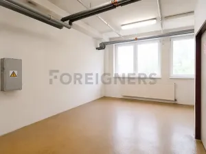 Pronájem skladu, Brno, Vinohradská, 153 m2