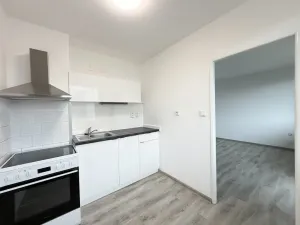 Pronájem bytu 1+1, Pardubice - Zelené Předměstí, nábřeží Závodu míru, 43 m2