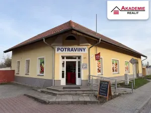 Pronájem obchodního prostoru, Hrabětice, Hrušovanská, 160 m2