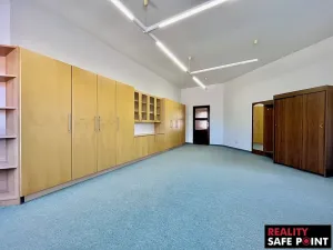 Prodej obchodního prostoru, Zruč-Senec, Plánská, 3159 m2