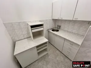 Prodej obchodního prostoru, Zruč-Senec, Plánská, 3159 m2
