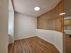 Pronájem bytu 1+1, Praha - Bubeneč, U zeměpisného ústavu, 37 m2