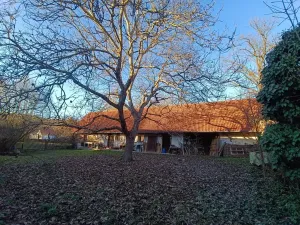 Prodej chalupy, Šebířov, 345 m2
