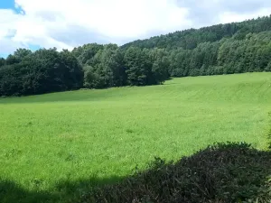 Prodej pozemku pro bydlení, Loučná nad Desnou, 36840 m2