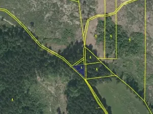 Prodej lesa, Načeradec, 450 m2