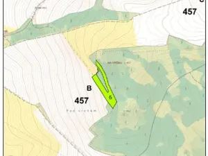 Prodej lesa, Dolní Hořice, 8003 m2