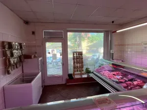 Pronájem obchodního prostoru, Napajedla, 43 m2