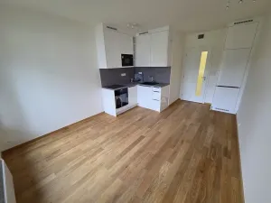 Pronájem bytu 1+kk, Praha - Chodov, Komárkova, 30 m2