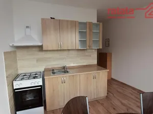 Pronájem bytu 1+1, Jirkov, Hornická, 35 m2