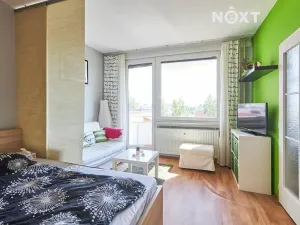 Pronájem bytu 1+1, České Budějovice, Větrná, 39 m2
