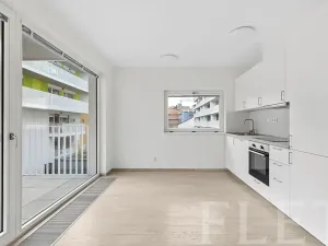 Pronájem bytu 1+kk, Praha - Karlín, Křižíkova, 31 m2