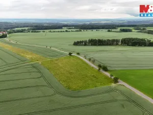 Prodej pole, Ostrov u Bezdružic - Krsov, 101002 m2