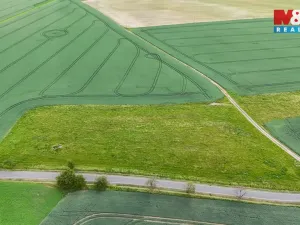 Prodej pole, Ostrov u Bezdružic - Krsov, 101002 m2