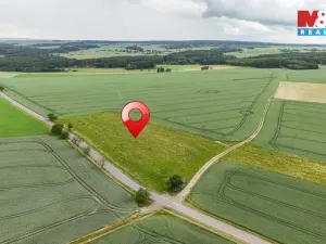 Prodej pole, Ostrov u Bezdružic - Krsov, 101002 m2