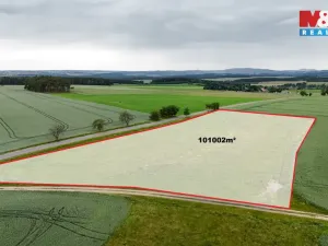 Prodej pole, Ostrov u Bezdružic - Krsov, 101002 m2