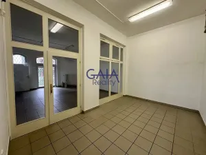 Pronájem obchodního prostoru, Kyjov, Kollárova, 226 m2