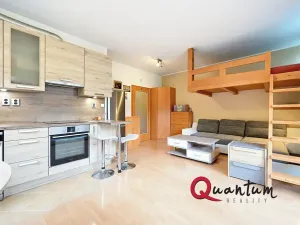Prodej bytu 1+kk, Praha - Záběhlice, Mikanova, 35 m2