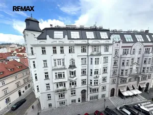 Pronájem bytu 1+kk, Praha - Staré Město, Haštalská, 25 m2
