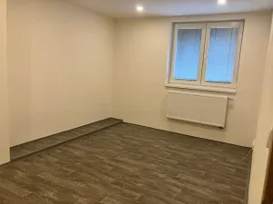 Pronájem bytu 1+1, Děčín, Kamenická, 38 m2
