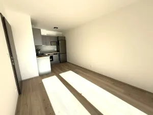 Pronájem bytu 2+kk, Brno, třída Generála Píky, 56 m2