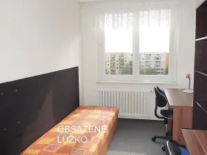 Pronájem pokoje, Brno, Běloruská, 50 m2