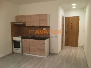 Pronájem bytu 1+1, Děčín, Na Vyhlídce, 34 m2