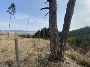 Prodej pozemku, Městečko Trnávka - Lázy, 384 m2