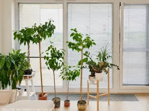 Pronájem bytu 3+kk, Brno, U Červeného mlýna, 97 m2