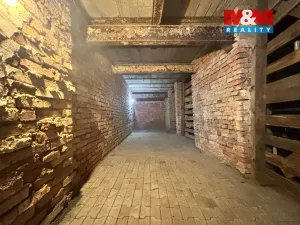 Pronájem bytu 3+1, Nemanice, 100 m2