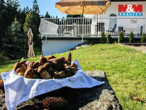 Prodej ubytování, Hamry nad Sázavou - Najdek, 716 m2