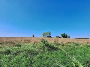 Prodej pozemku pro bydlení, Hrušovany u Brna, Pod Střediskem, 1062 m2