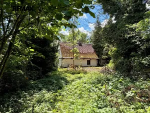 Prodej chalupy, Valeč, 50 m2
