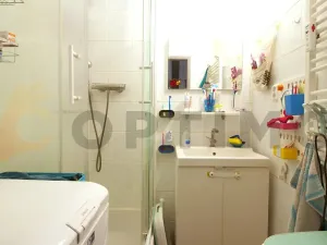 Prodej bytu 2+1, Praha - Žižkov, Pod lipami, 52 m2