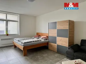 Pronájem bytu 1+1, Sokolov, Nádražní, 48 m2