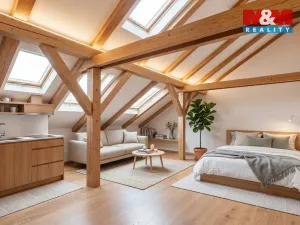 Prodej půdního prostoru, Praha, Husitská, 126 m2