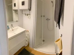 Pronájem bytu 1+kk, Praha - Vinohrady, Polská, 21 m2