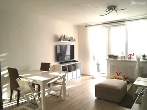Prodej bytu 3+kk, Brno, Škroupova, 64 m2