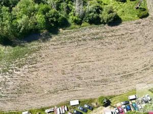 Prodej pole, Bělušice, 38750 m2
